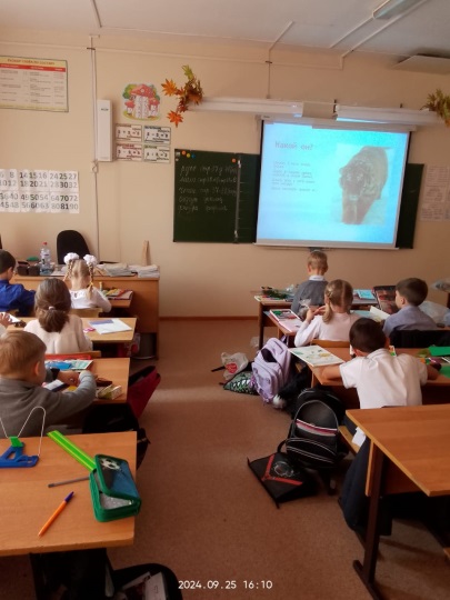 Урок про Уссурийского тигра.